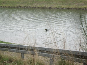 IMG_5944.JPG