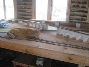 IMG_1767.JPG