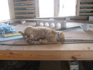 IMG_1768.JPG