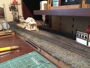 IMG_5780.JPG