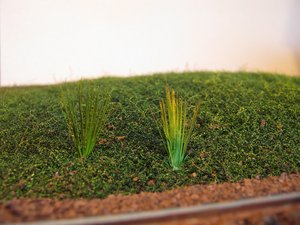 Изображение 105.jpg