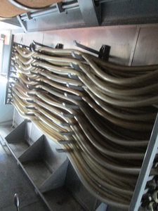 IMG_6319.JPG