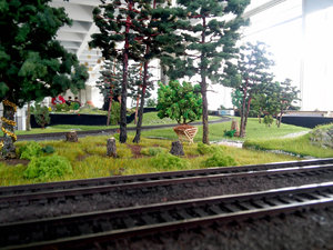 !20170604_150533.jpg