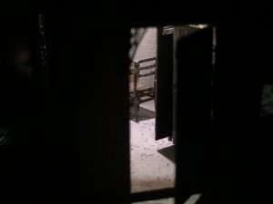 IMG_7231.JPG