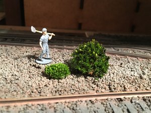IMG_7761.JPG