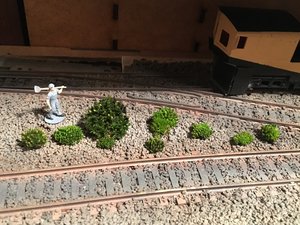 IMG_7763.JPG