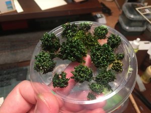 IMG_7828.JPG