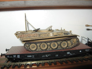 Bergepanther