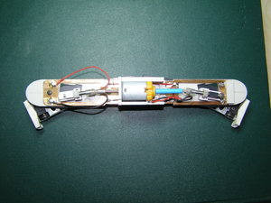 P1010145.JPG