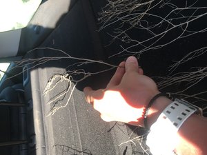 IMG_8372.JPG