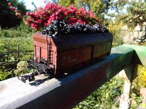 IMG_20170628_171448.jpg