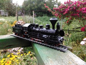 IMG_20170701_155710.jpg