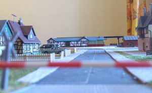 DSC_0158.jpg