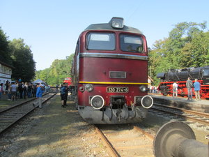 IMG_6880.JPG