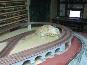 IMG_2940.JPG