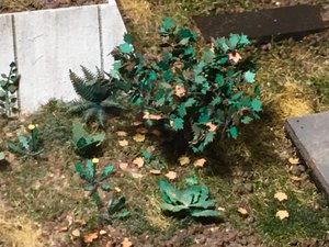 IMG_1003.JPG