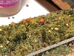 IMG_1148.JPG