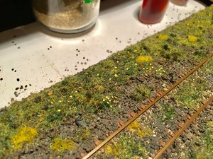 IMG_1132.JPG