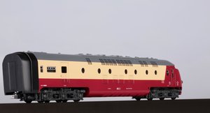IB7A6975.jpg