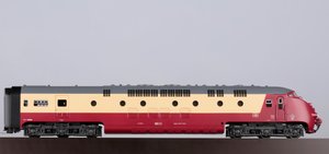 IB7A6974.jpg