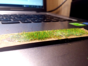 20171022_223453.jpg