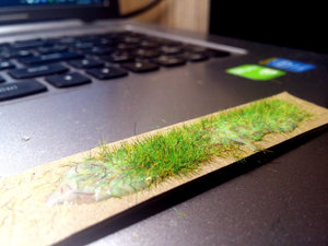 20171022_223503.jpg