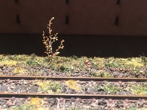 IMG_1676.JPG