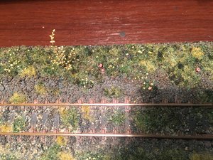 IMG_1677.JPG