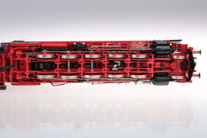 IB7A8262.jpg