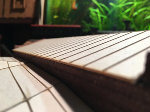 IMG_3063.JPG