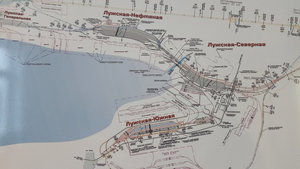 lujskaya-08.jpg