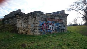 DSC_1723.JPG