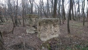 DSC_1724.JPG