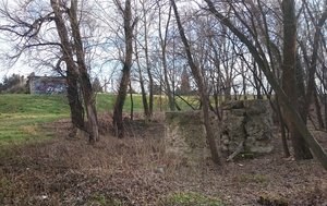 DSC_1725.JPG