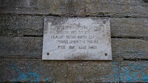 DSC_1731.JPG