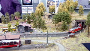 IMG_20180131_134520.jpg