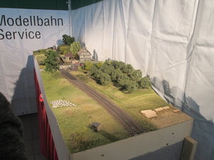 IMG_7481.JPG