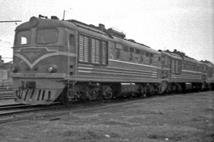 84775 (1).jpg