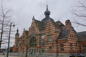 pic1.jpg