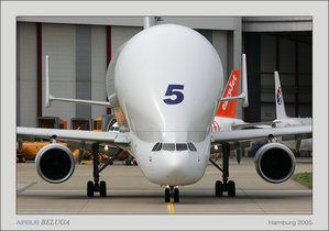 _MG_1515-(1).jpg