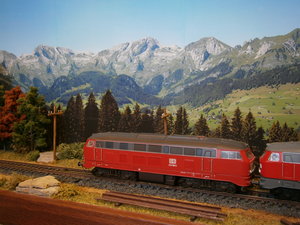 PB290023.JPG