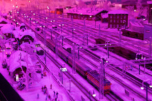_MG_7949-(1).jpg
