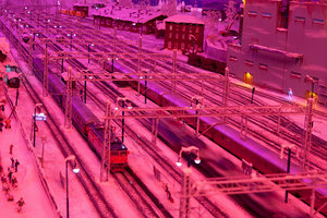 _MG_7954-(1).jpg