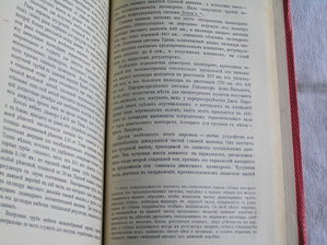 P1017453.JPG