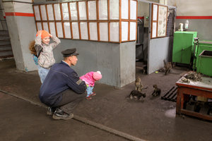 111-4.jpg