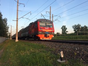 IMG_4778.JPG