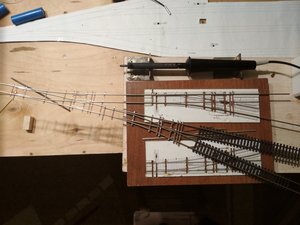 IMG_20180626_123725.jpg