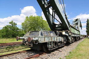 diplodocus08.jpg