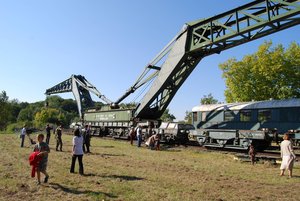 diplodocus06.jpg