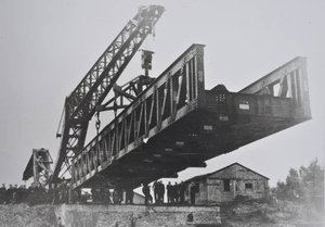 diplodocus04.jpg
